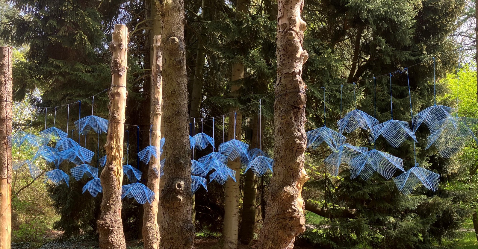 Regelmatig vind je kunstexposities in Hortus Nijmegen foto: ©??