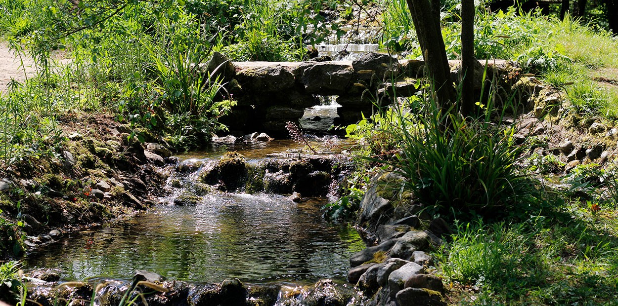 Botanische-tuin-beek-1-bewerkt-1