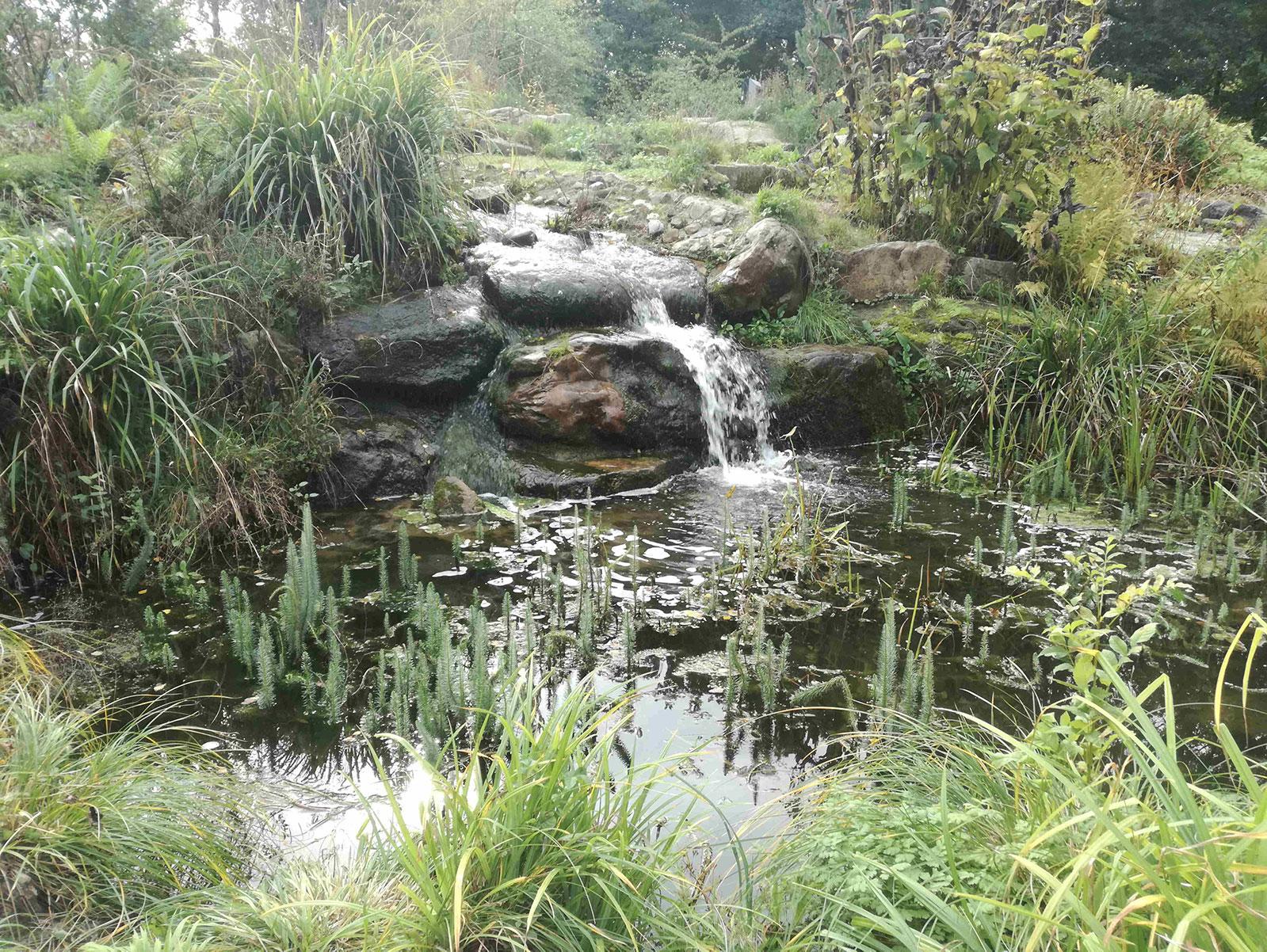 Waterval Alpinum: foto © Bas Budel