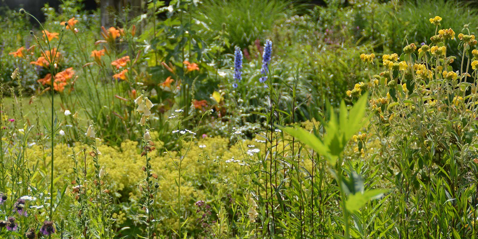 bloemenzee-in-de-theetuin bloemenzee in de theetuin van Hortus Nijmegen