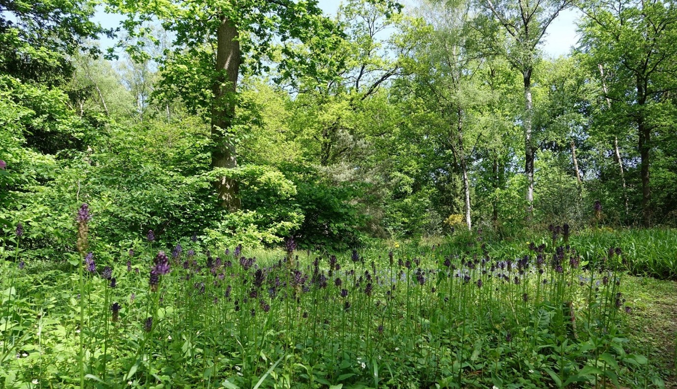 Open tuinendag Nijmegen