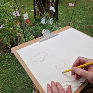 Botanisch tekenen Hortus Nijmegen