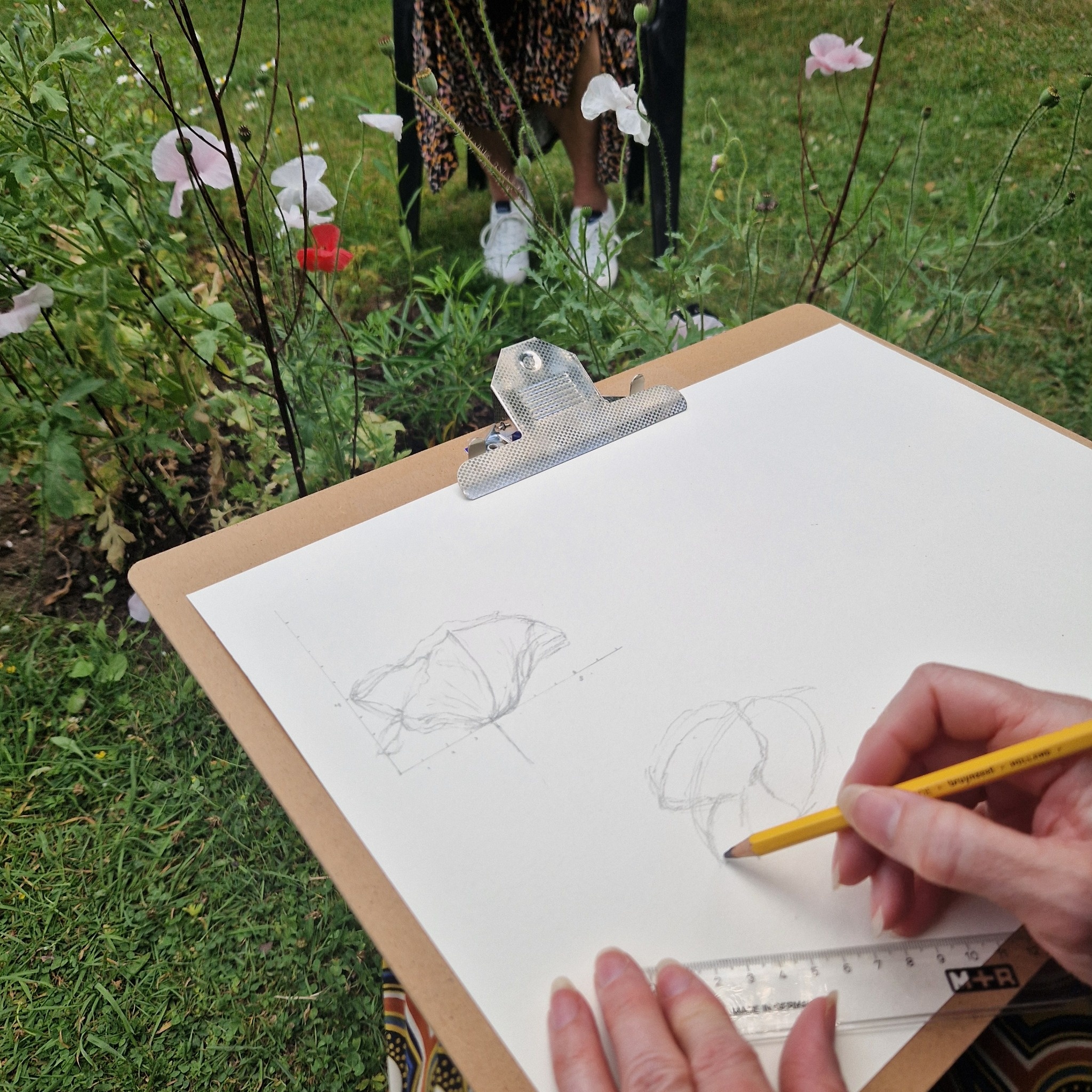 Botanisch tekenen Hortus Nijmegen