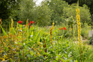 Opentuinenweekend Hortus Nijmegen