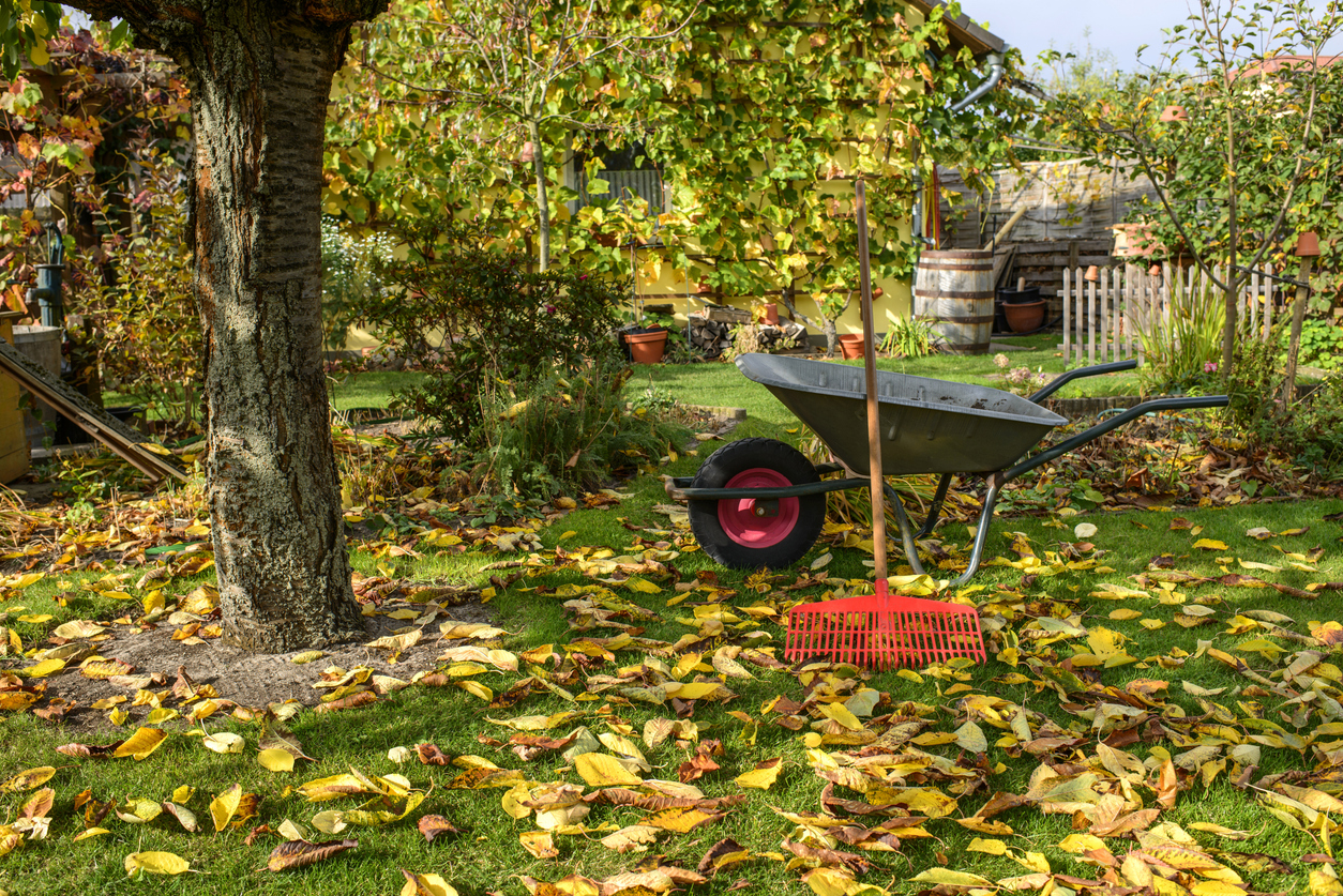 tuin niet winterklaar maken